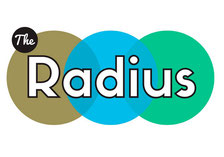 パイゼル ラディウス サーフボード radius